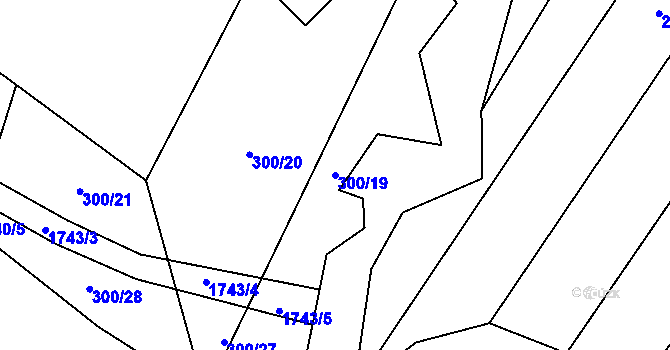 Parcela st. 300/19 v KÚ Dražíč, Katastrální mapa