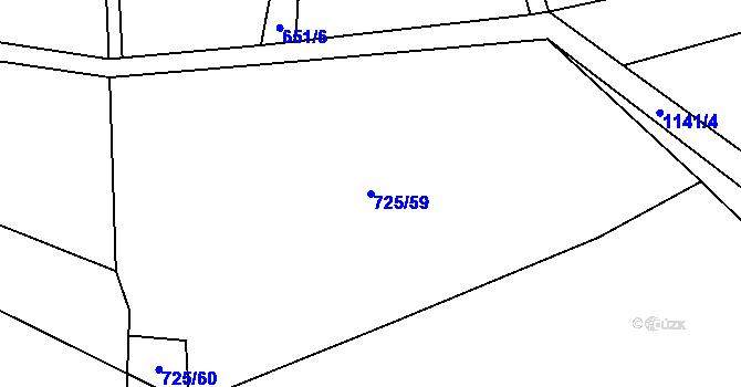 Parcela st. 725/59 v KÚ Pamětice u Drhovle, Katastrální mapa