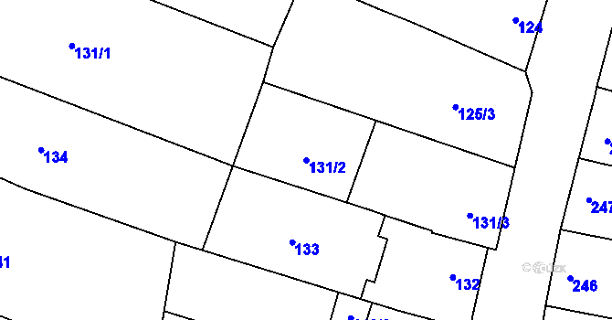 Parcela st. 131/2 v KÚ Drnovice u Vyškova, Katastrální mapa