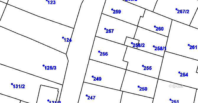 Parcela st. 256 v KÚ Drnovice u Vyškova, Katastrální mapa