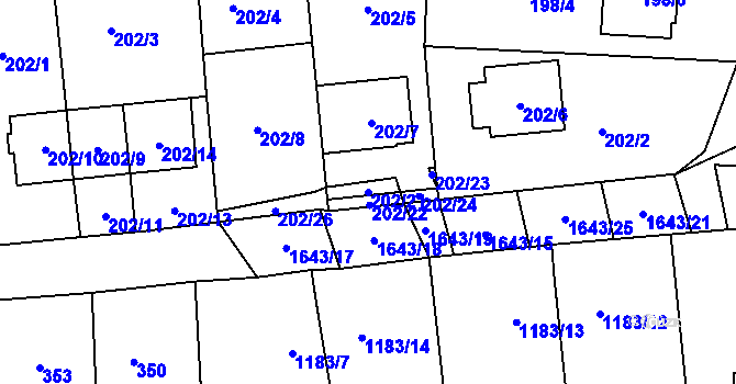 Parcela st. 202/21 v KÚ Drnovice u Vyškova, Katastrální mapa