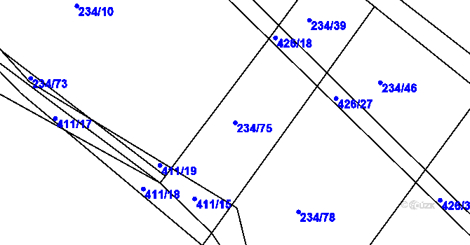 Parcela st. 234/75 v KÚ Černíkov u Strakonic, Katastrální mapa