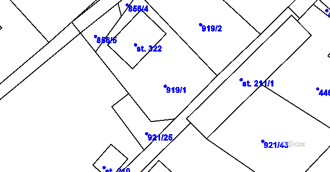 Parcela st. 919/1 v KÚ Drozdov, Katastrální mapa