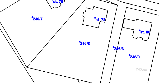 Parcela st. 246/8 v KÚ Druhanov, Katastrální mapa