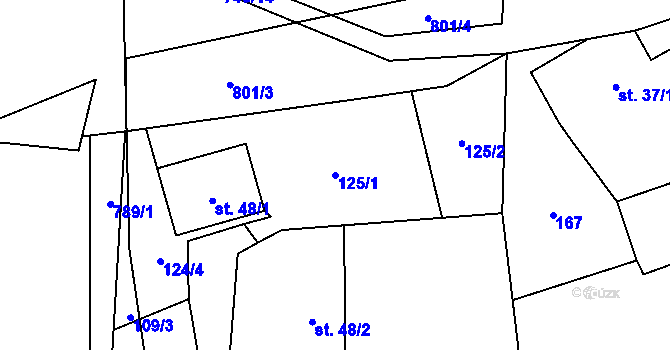 Parcela st. 125/1 v KÚ Druzcov, Katastrální mapa