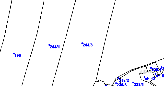 Parcela st. 244/3 v KÚ Druzcov, Katastrální mapa
