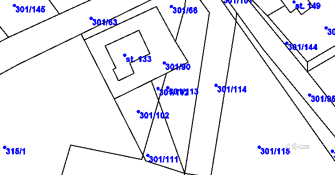Parcela st. 301/113 v KÚ Druzcov, Katastrální mapa