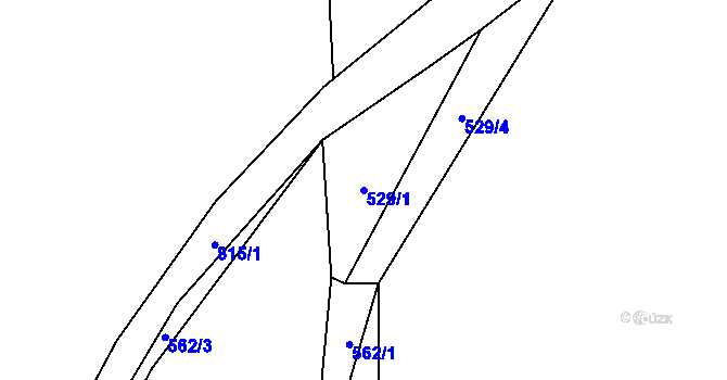 Parcela st. 529/1 v KÚ Druzcov, Katastrální mapa