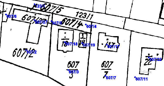 Parcela st. 607/19 v KÚ Druztová, Katastrální mapa