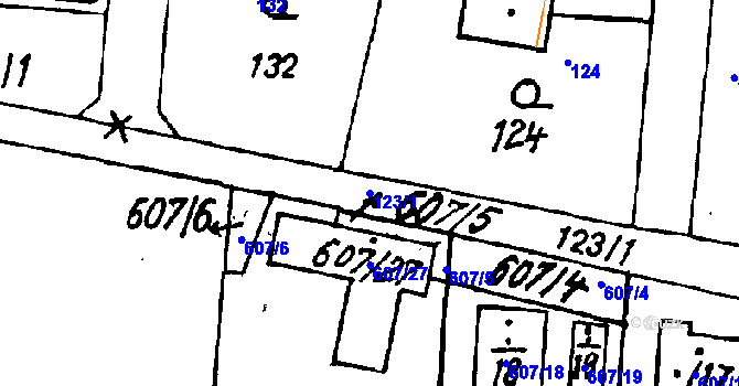 Parcela st. 123/1 v KÚ Druztová, Katastrální mapa