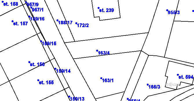 Parcela st. 163/4 v KÚ Družec, Katastrální mapa