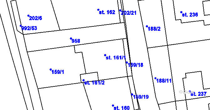 Parcela st. 161/1 v KÚ Družec, Katastrální mapa