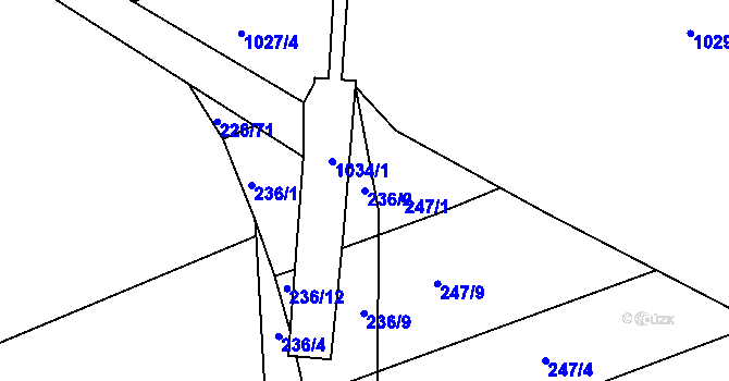 Parcela st. 236/2 v KÚ Družec, Katastrální mapa