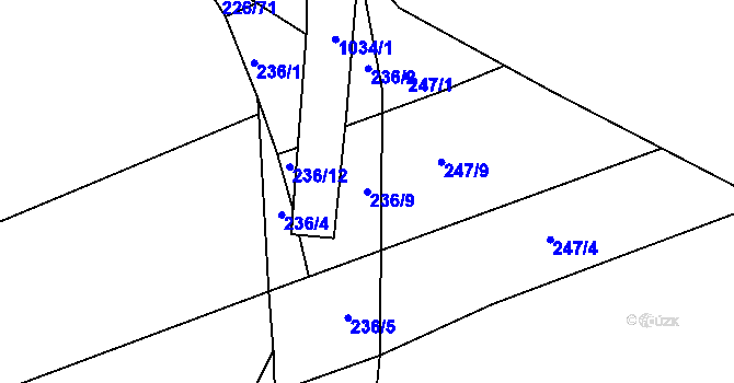 Parcela st. 236/9 v KÚ Družec, Katastrální mapa
