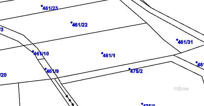 Parcela st. 461/1 v KÚ Družec, Katastrální mapa