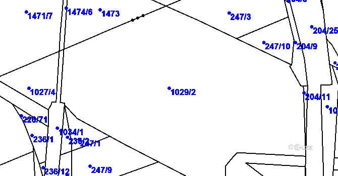Parcela st. 1029/2 v KÚ Družec, Katastrální mapa