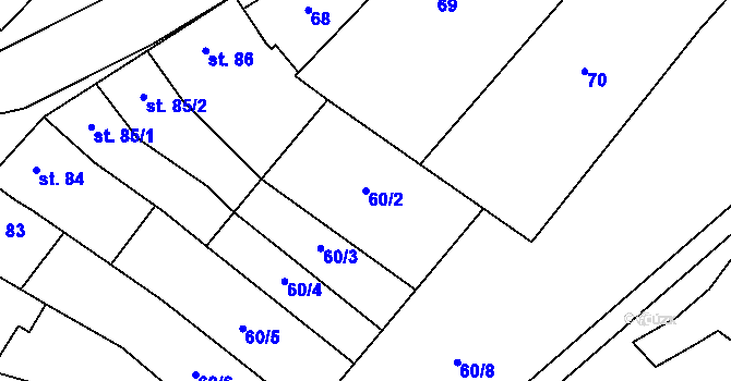 Parcela st. 60/2 v KÚ Držovice na Moravě, Katastrální mapa