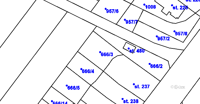 Parcela st. 666/3 v KÚ Držovice na Moravě, Katastrální mapa