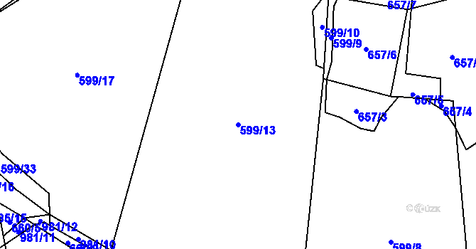 Parcela st. 599/13 v KÚ Dřešín, Katastrální mapa