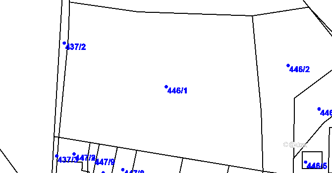 Parcela st. 446/1 v KÚ Dřetovice, Katastrální mapa