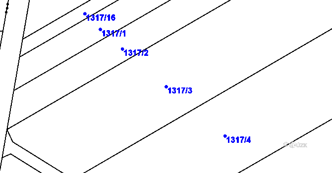 Parcela st. 1317/3 v KÚ Dřevohostice, Katastrální mapa