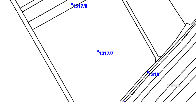 Parcela st. 1317/7 v KÚ Dřevohostice, Katastrální mapa