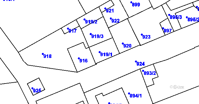 Parcela st. 919/1 v KÚ Dřevohostice, Katastrální mapa