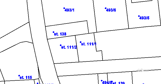 Parcela st. 111/1 v KÚ Dřínov, Katastrální mapa