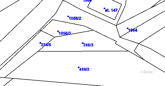 Parcela st. 316/3 v KÚ Dříteč, Katastrální mapa