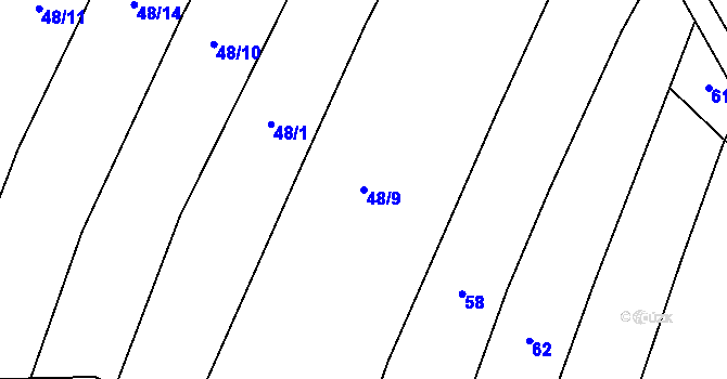 Parcela st. 48/9 v KÚ Dubská Lhota, Katastrální mapa