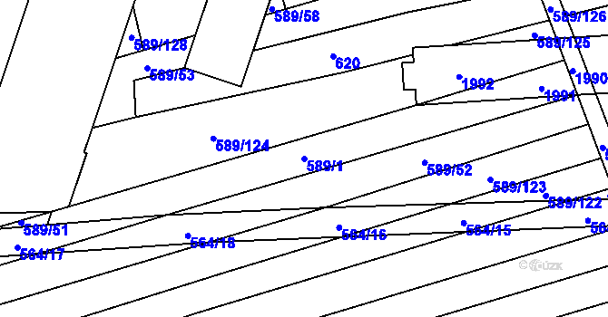 Parcela st. 589/1 v KÚ Dubicko, Katastrální mapa