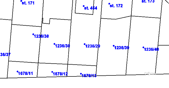 Parcela st. 1236/29 v KÚ Dubicko, Katastrální mapa
