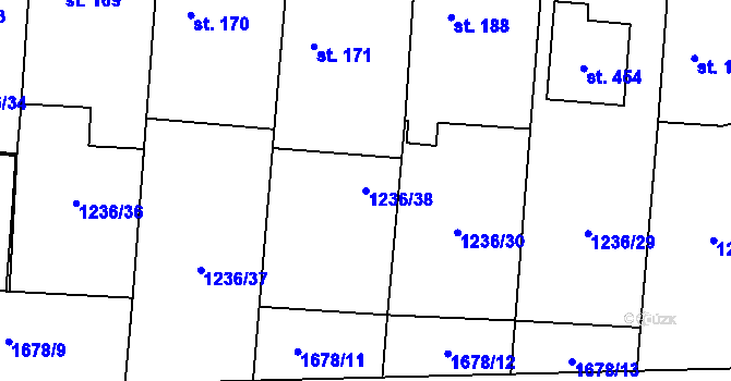 Parcela st. 1236/38 v KÚ Dubicko, Katastrální mapa