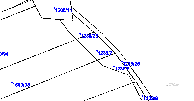Parcela st. 1239/7 v KÚ Dubicko, Katastrální mapa