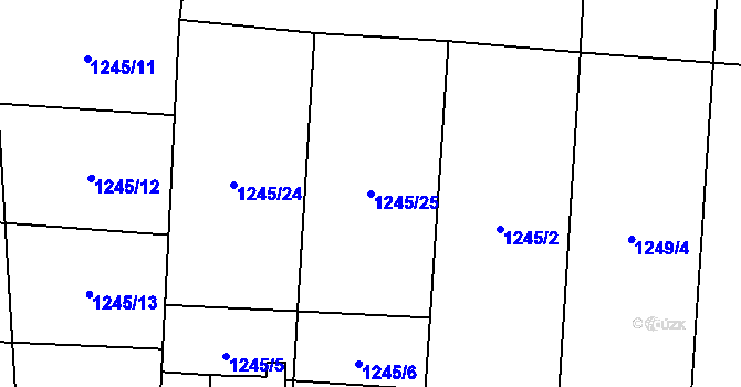 Parcela st. 1245/25 v KÚ Dubicko, Katastrální mapa