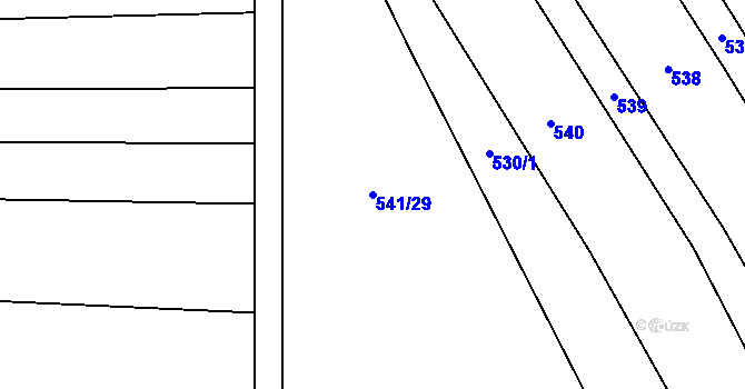 Parcela st. 541/29 v KÚ Dubicko, Katastrální mapa
