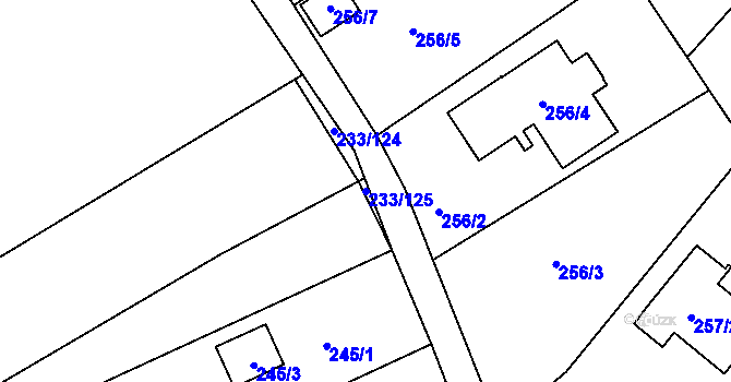 Parcela st. 233/125 v KÚ Dubičné, Katastrální mapa