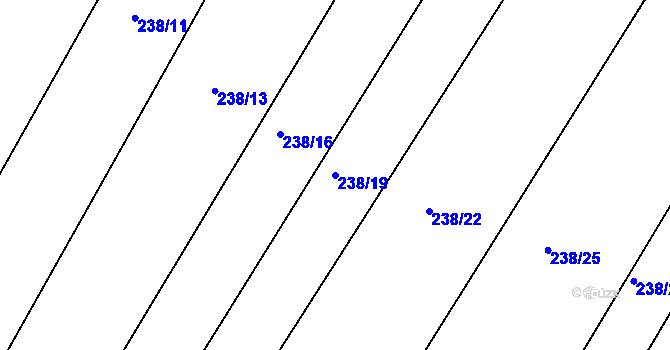 Parcela st. 238/19 v KÚ Dubičné, Katastrální mapa
