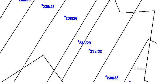 Parcela st. 238/29 v KÚ Dubičné, Katastrální mapa