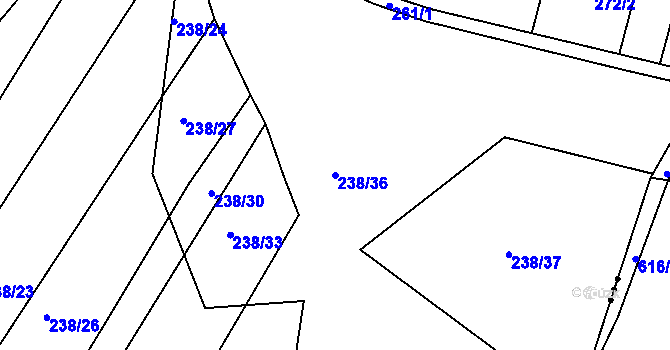 Parcela st. 238/36 v KÚ Dubičné, Katastrální mapa