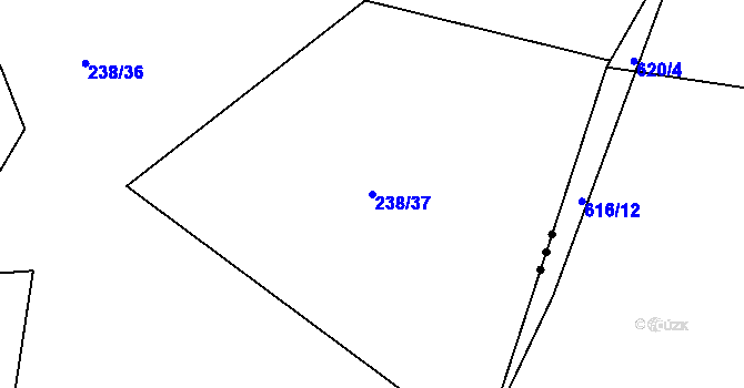 Parcela st. 238/37 v KÚ Dubičné, Katastrální mapa