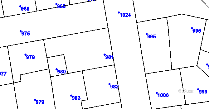 Parcela st. 981 v KÚ Dubňany, Katastrální mapa