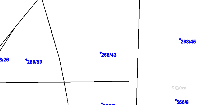 Parcela st. 268/43 v KÚ Dubno, Katastrální mapa