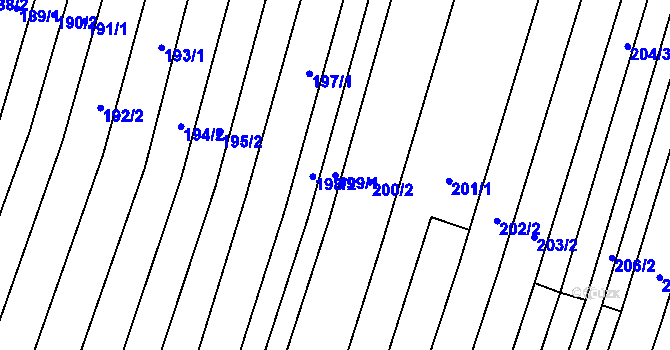 Parcela st. 199/1 v KÚ Dukovany, Katastrální mapa