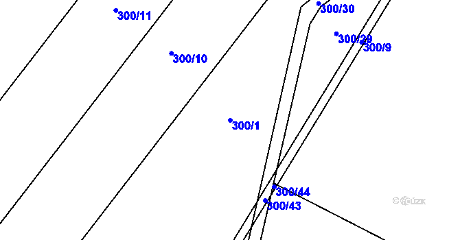 Parcela st. 300/1 v KÚ Dukovany, Katastrální mapa