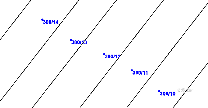 Parcela st. 300/12 v KÚ Dukovany, Katastrální mapa