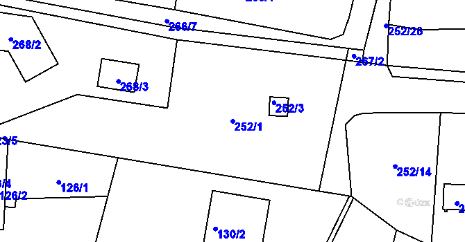 Parcela st. 252/1 v KÚ Dyje, Katastrální mapa