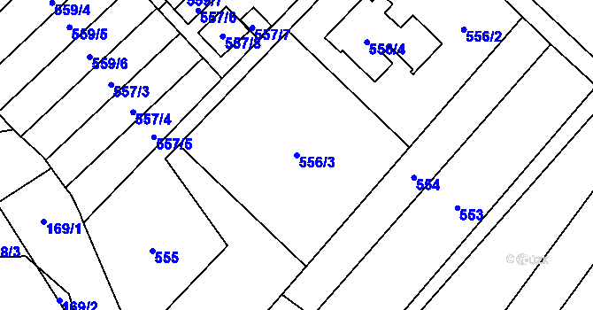 Parcela st. 556/3 v KÚ Dyje, Katastrální mapa