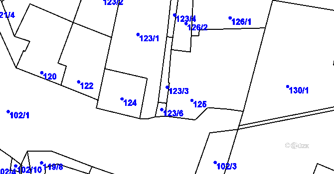 Parcela st. 123/3 v KÚ Dyje, Katastrální mapa