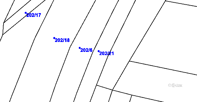 Parcela st. 202/21 v KÚ Dyjice, Katastrální mapa